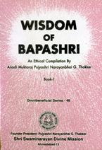 48 Wisdom of Bapashri (Book 1)